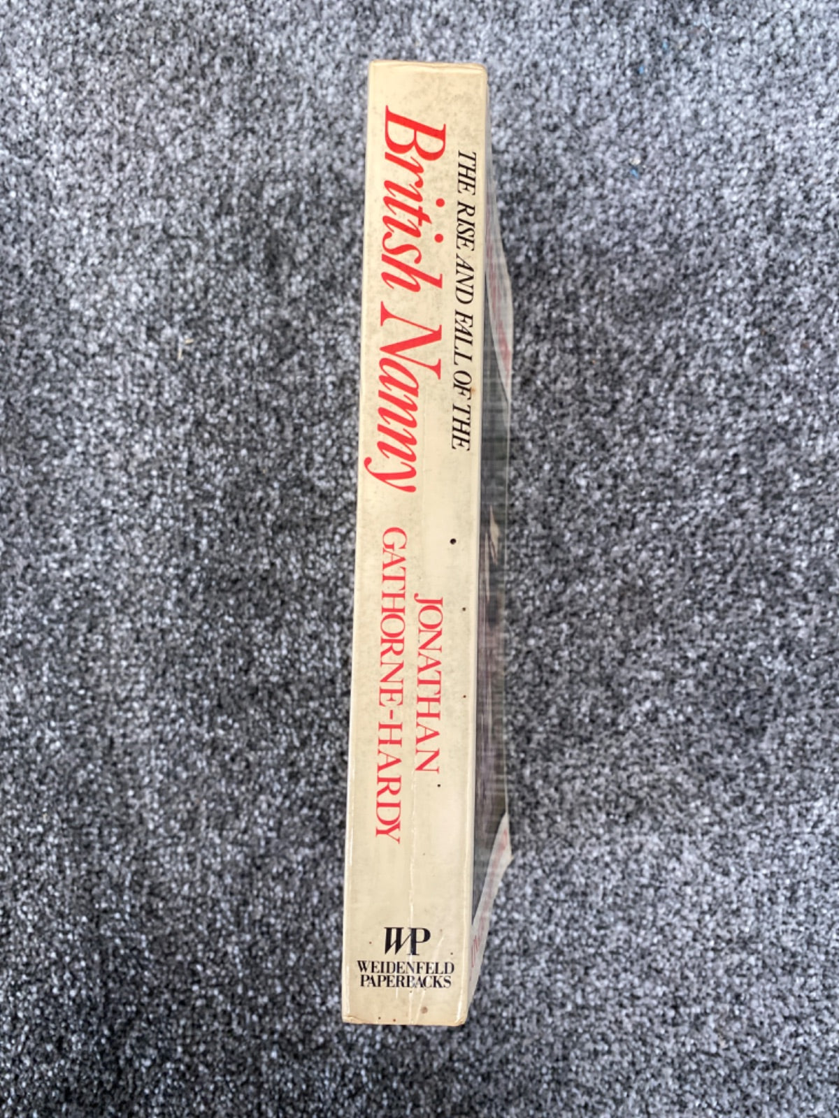 The Rise and Fall of the British Nanny - Jonathan Gathorne-Hardy