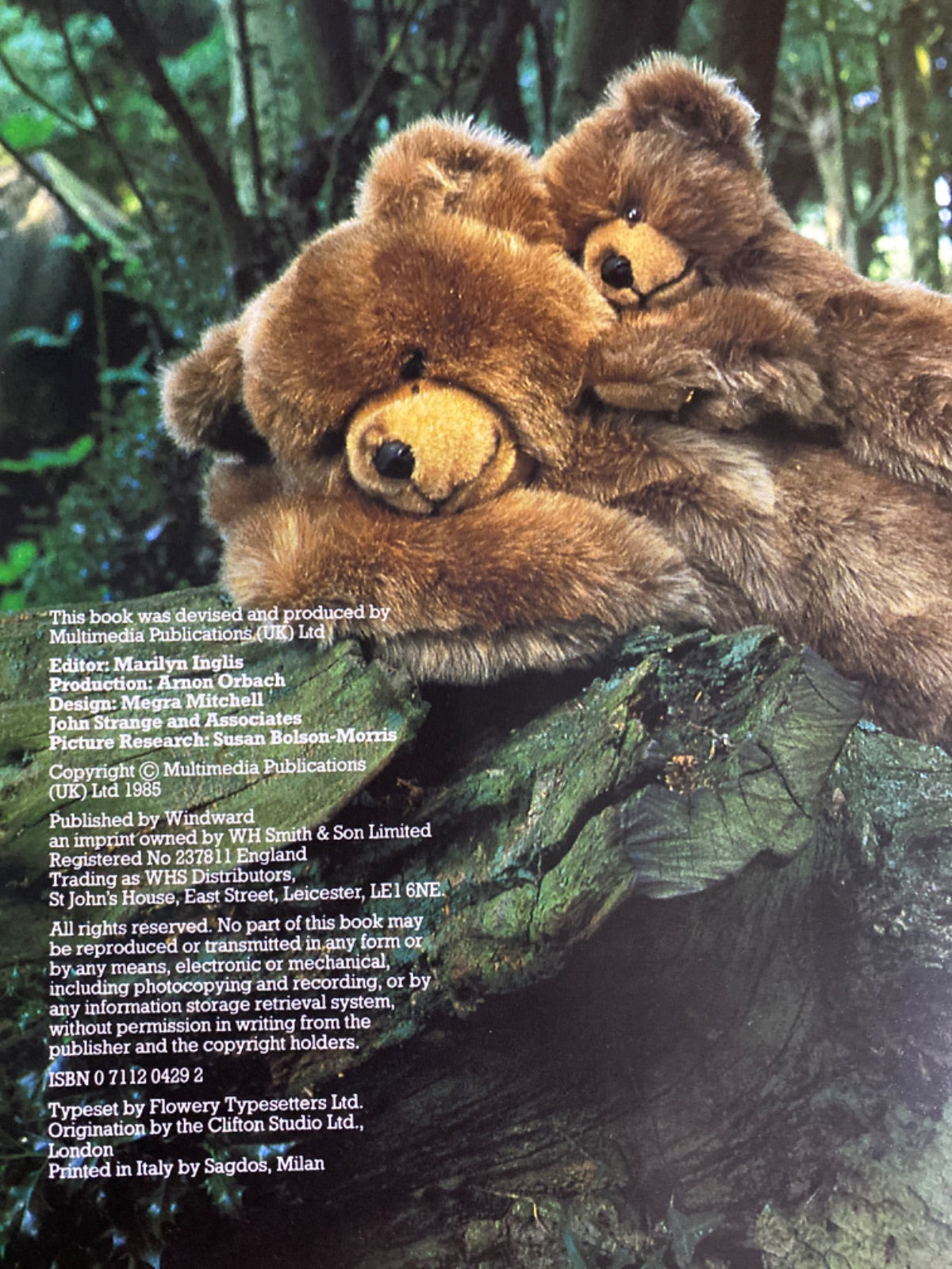 The Teddy Bear Story - Josa Keyes
