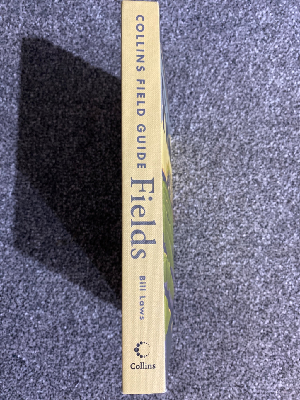 Fields - Bill Laws