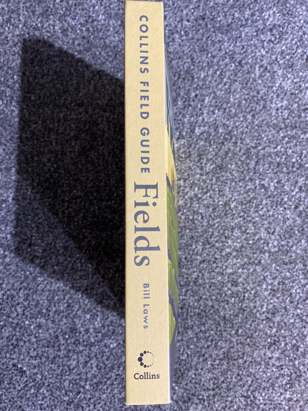 Fields - Bill Laws