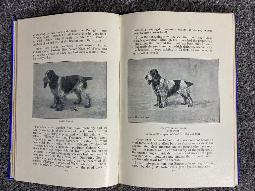 The Popular Cocker Spaniel - H. S. Lloyd