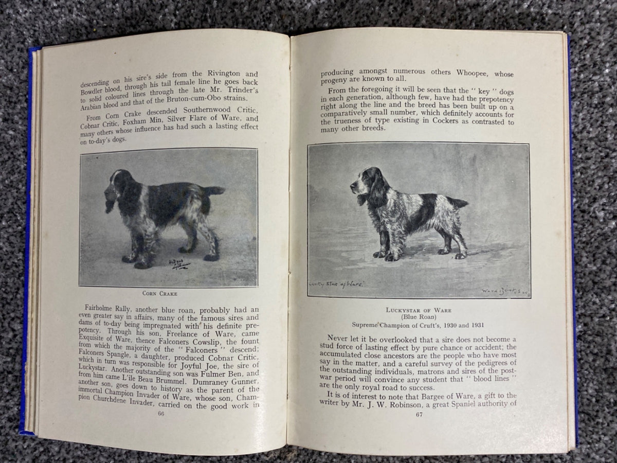 The Popular Cocker Spaniel - H. S. Lloyd