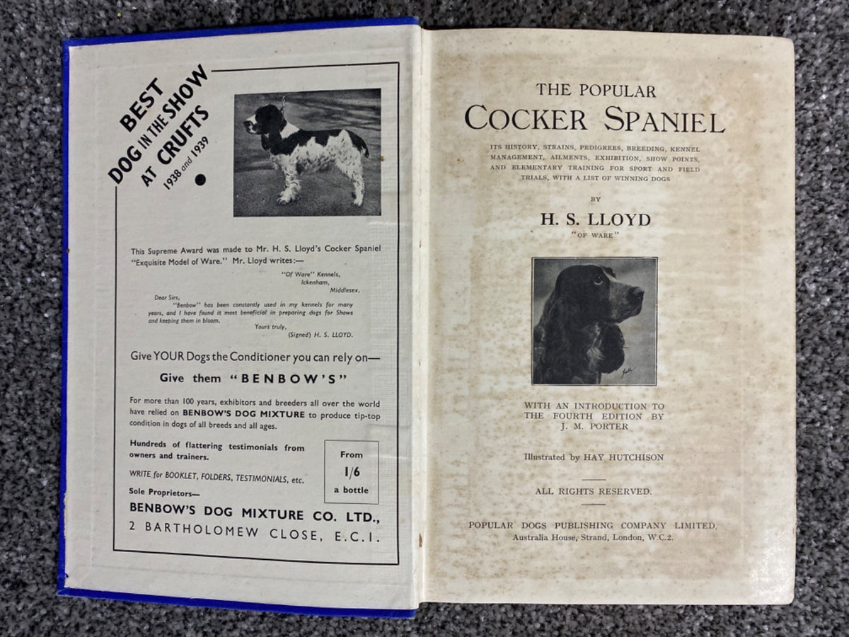 The Popular Cocker Spaniel - H. S. Lloyd