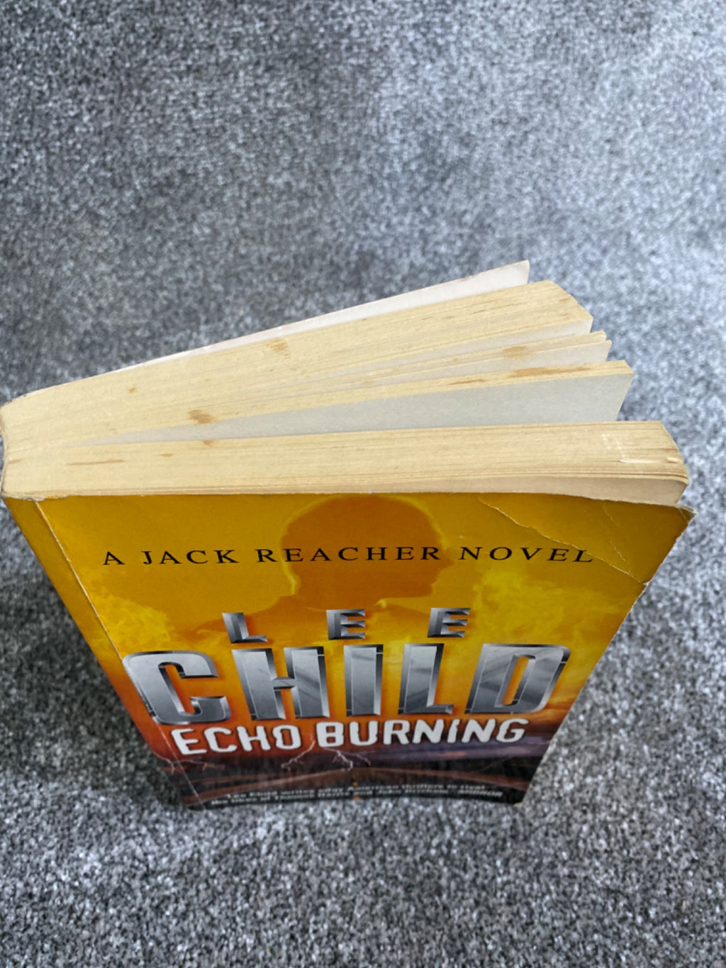 Echo Burning - Lee Child