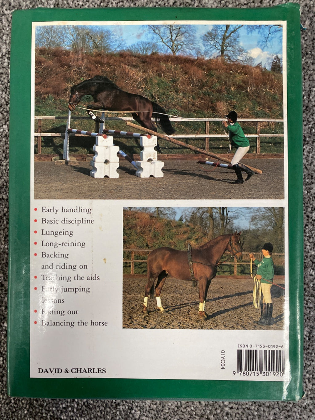 The Young Horse: Breaking and Training - Jennie Loriston-Clarke