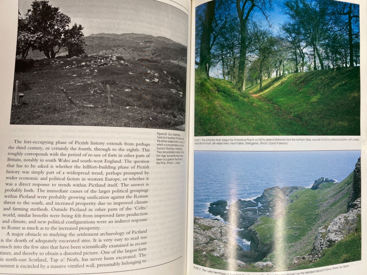 The Picts and the Scots - Lloyd Robert Laing, Jennifer Laing