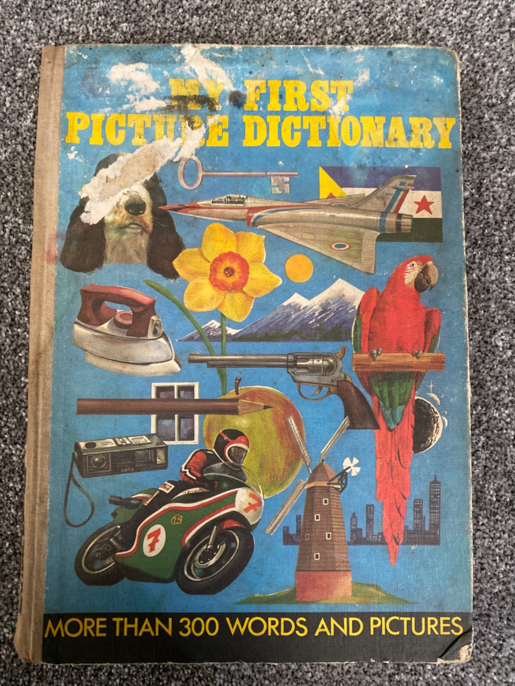My First Picture Dictionary
