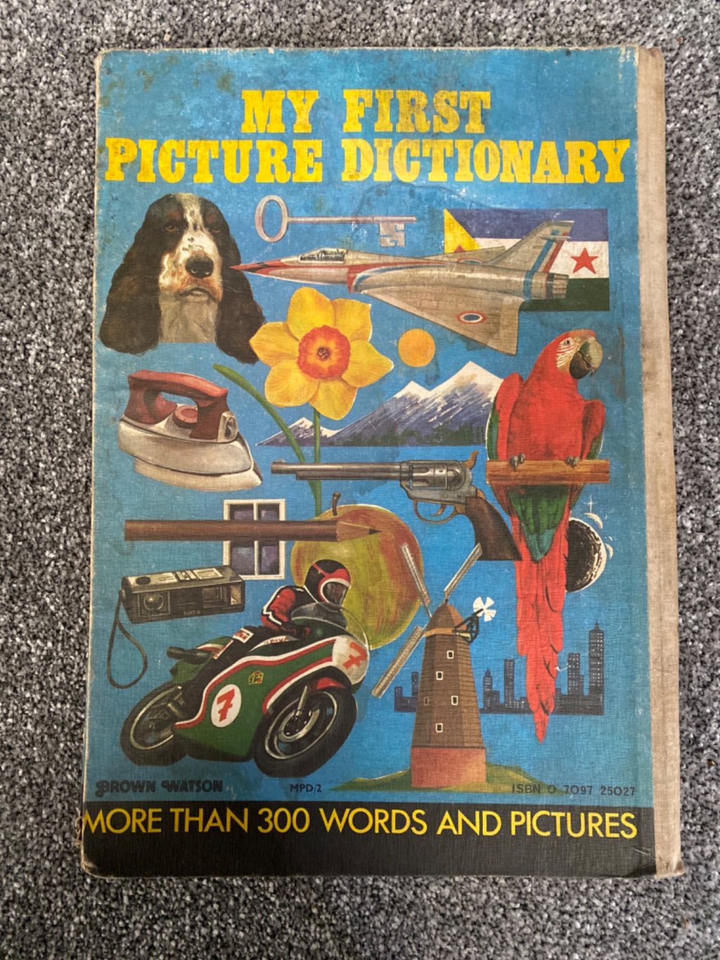 My First Picture Dictionary