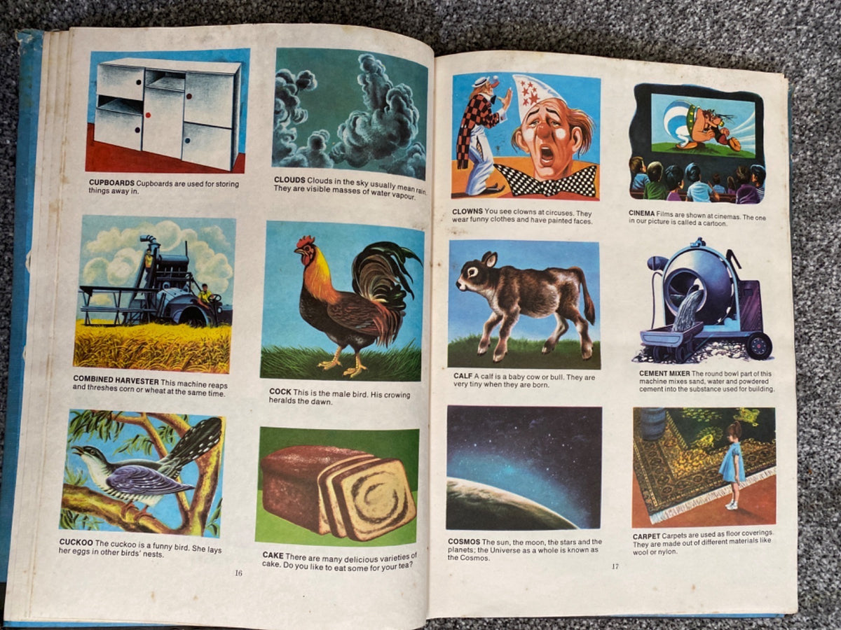 My First Picture Dictionary