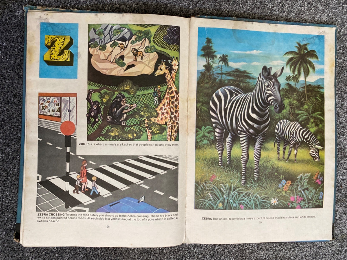 My First Picture Dictionary