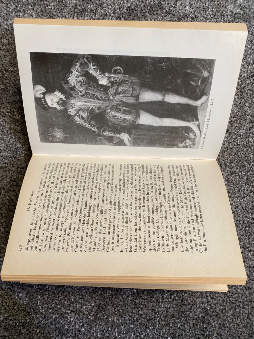The White Bear: Robert Dudley, the Elizabethan Earl of Leicester - Alan Haynes