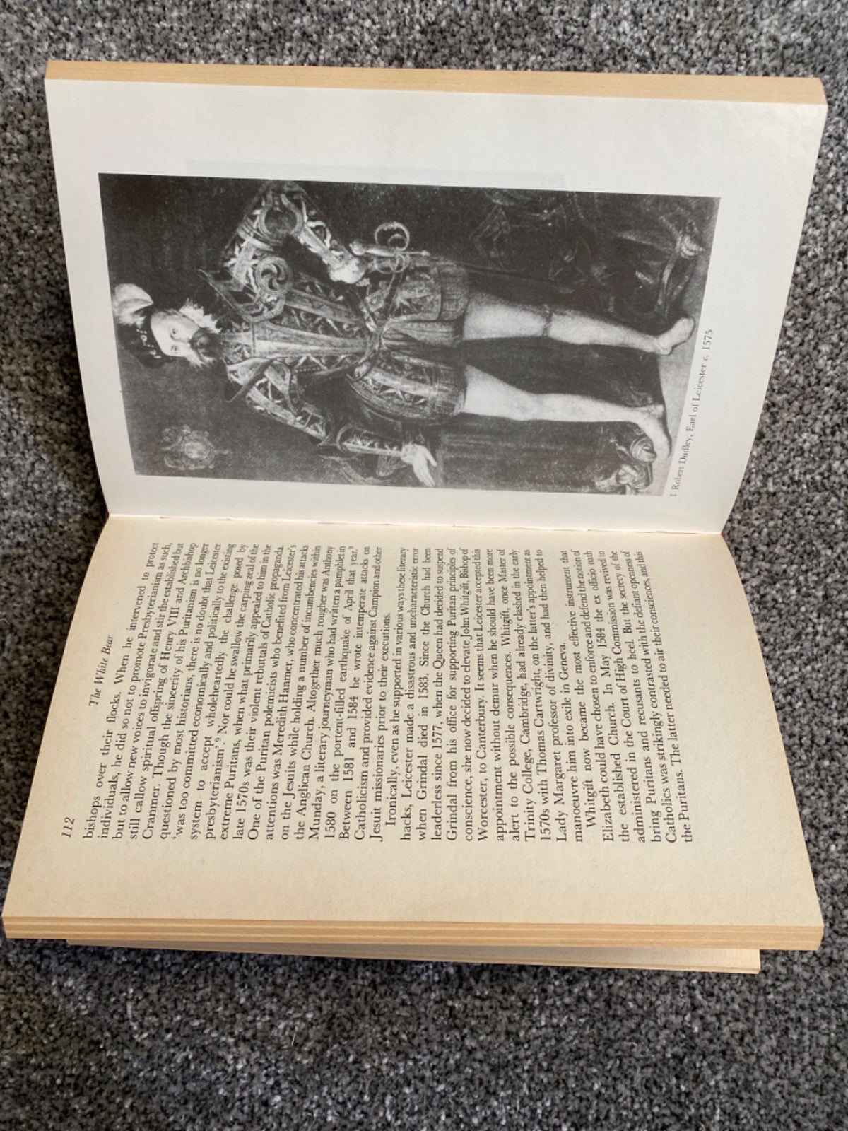 The White Bear: Robert Dudley, the Elizabethan Earl of Leicester - Alan Haynes