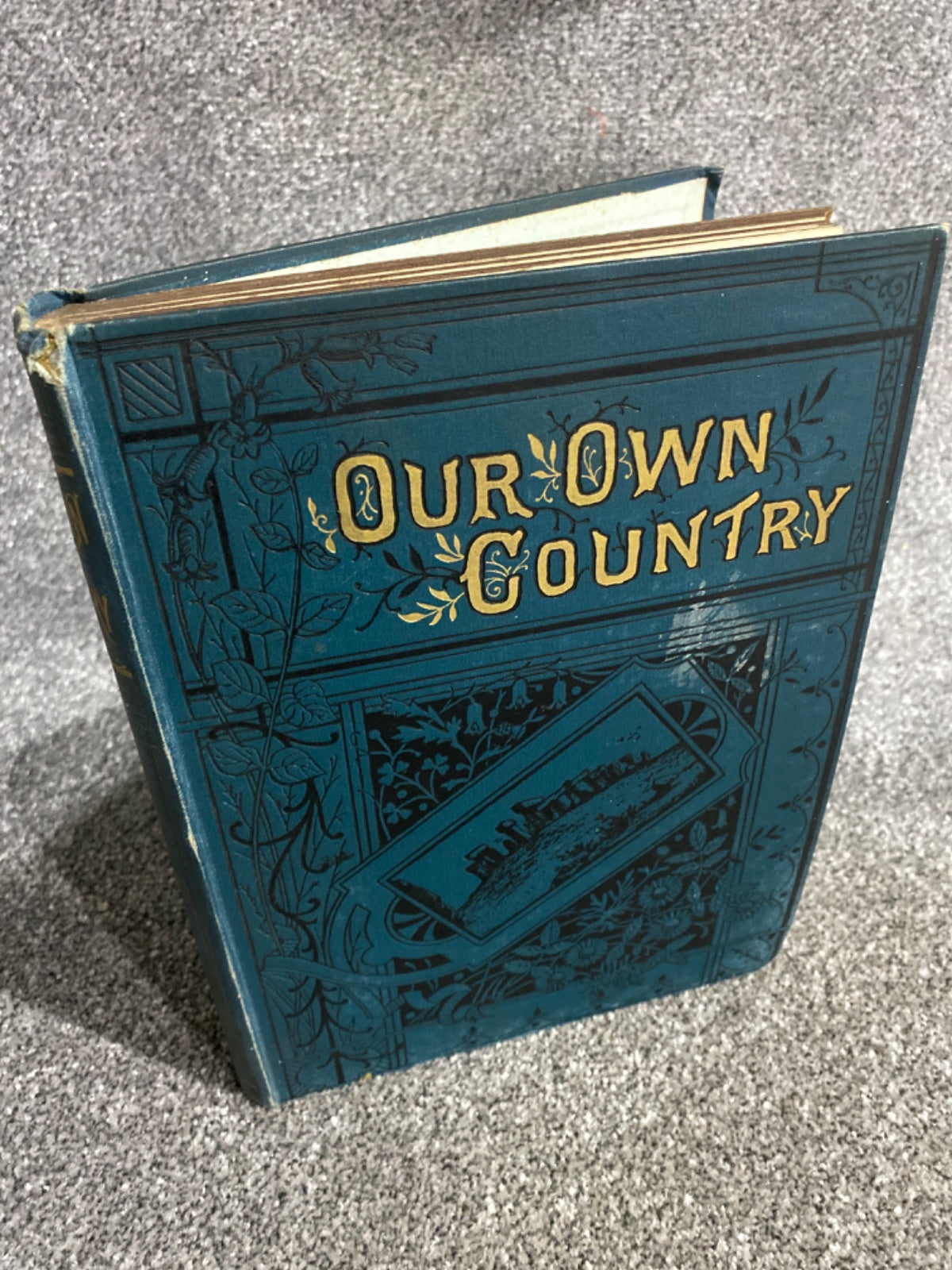 Our Own Country