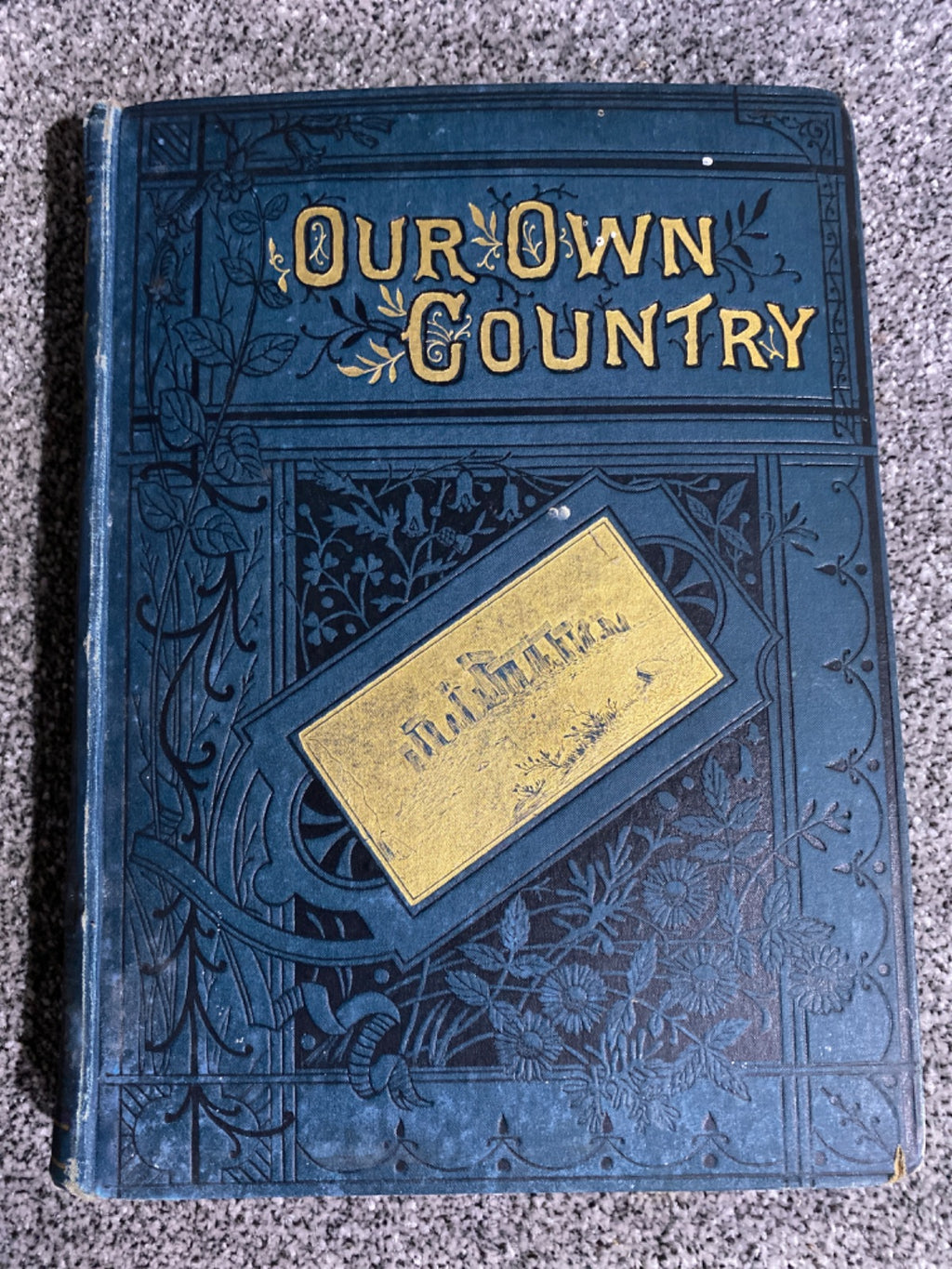 Our Own Country