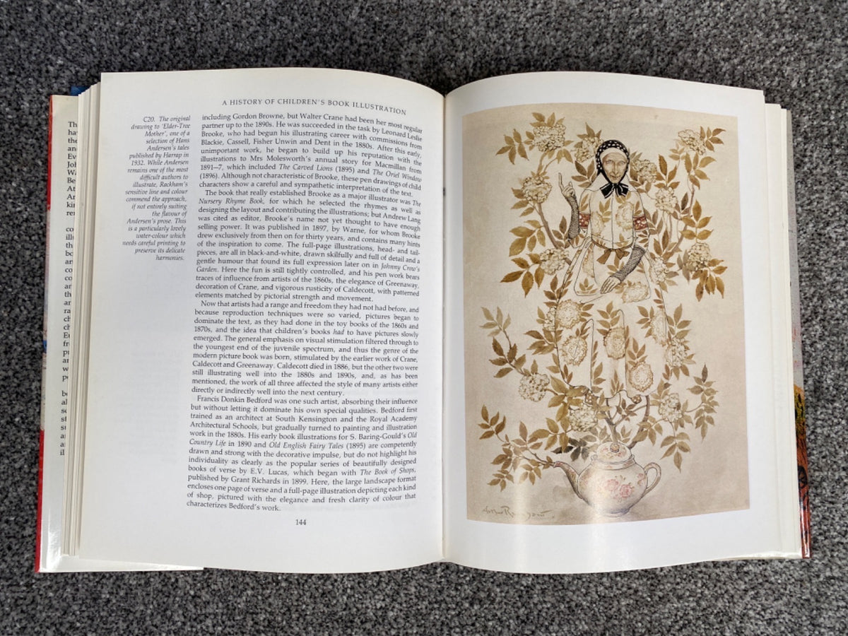 A history of children's book illustration - Joyce Irene Whalley, Tessa Rose Chester
