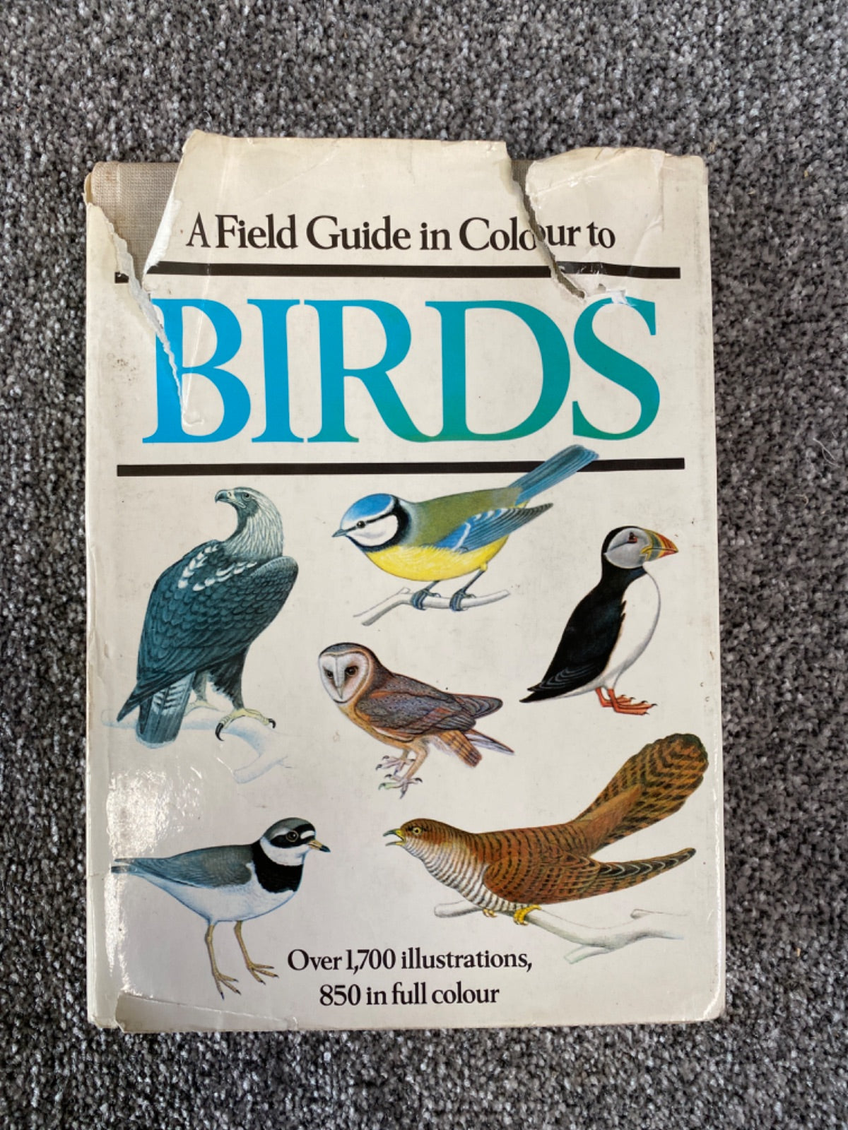A Field Guide in Colour to Birds - Walter Černý