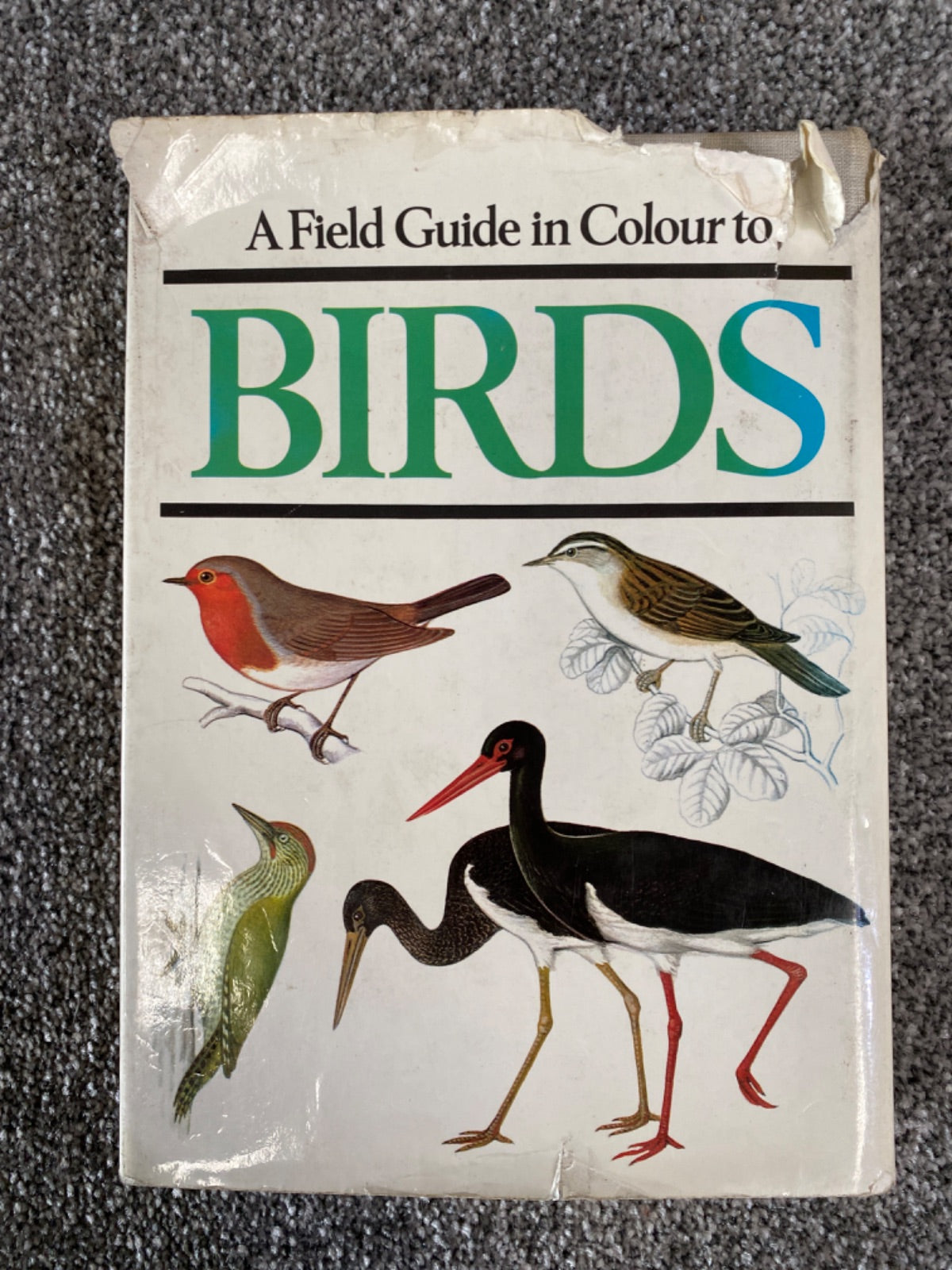 A Field Guide in Colour to Birds - Walter Černý