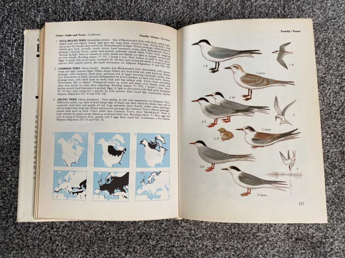 A Field Guide in Colour to Birds - Walter Černý