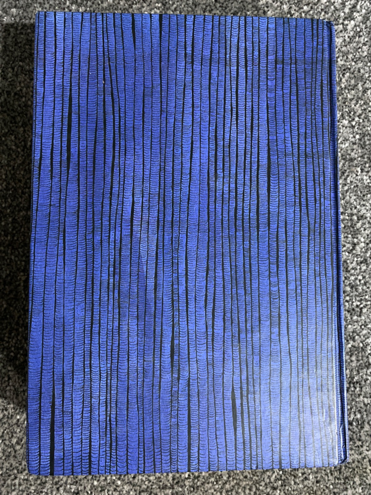 The 13½ Lives of Captain Bluebear - Walter Moers