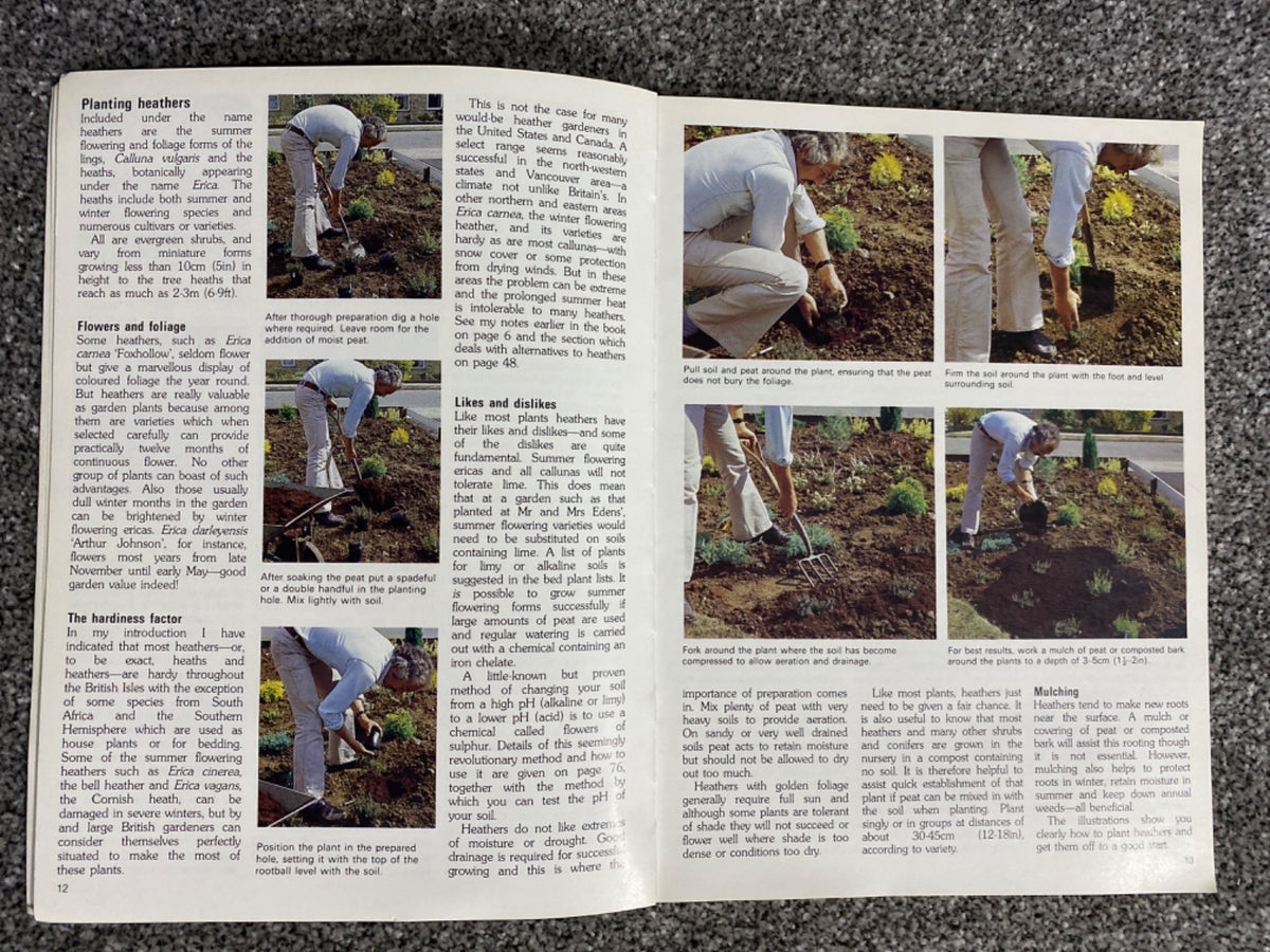 Conifers and heathers: for a year-round garden - Adrian Bloom