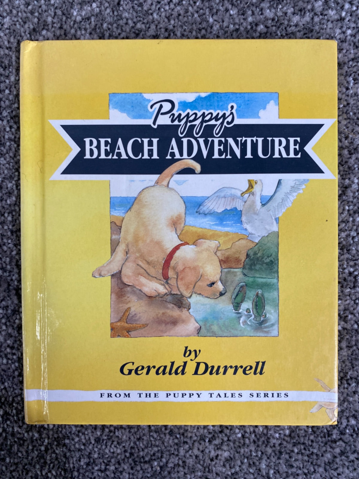 Puppy's beach adventure - Gerald Malcolm Durrell