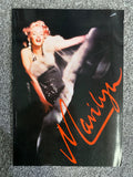 Marilyn Monroe: a never-ending dream - Guus Luijters