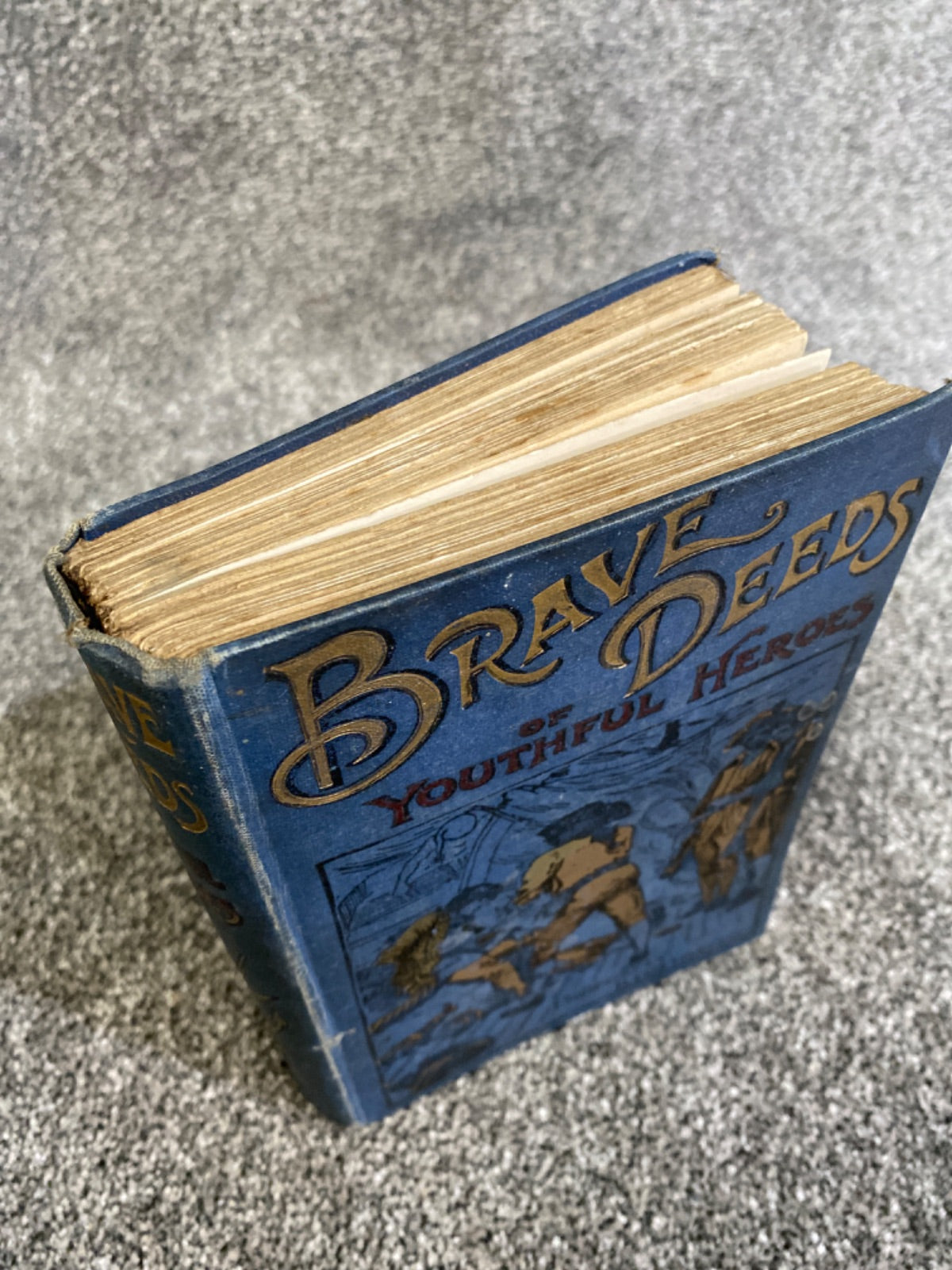 Brave Deeds of Youthful Heroes