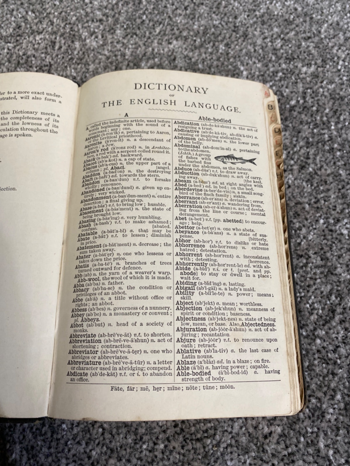 Collins' Large Type Dictionary of the English Language