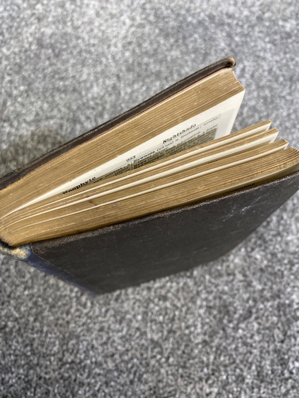 Collins' Large Type Dictionary of the English Language