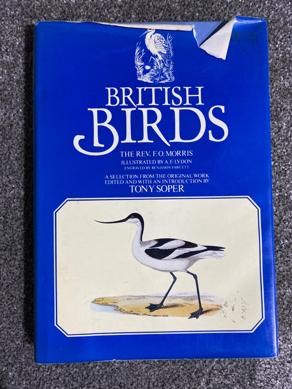 British birds - F. O. Morris