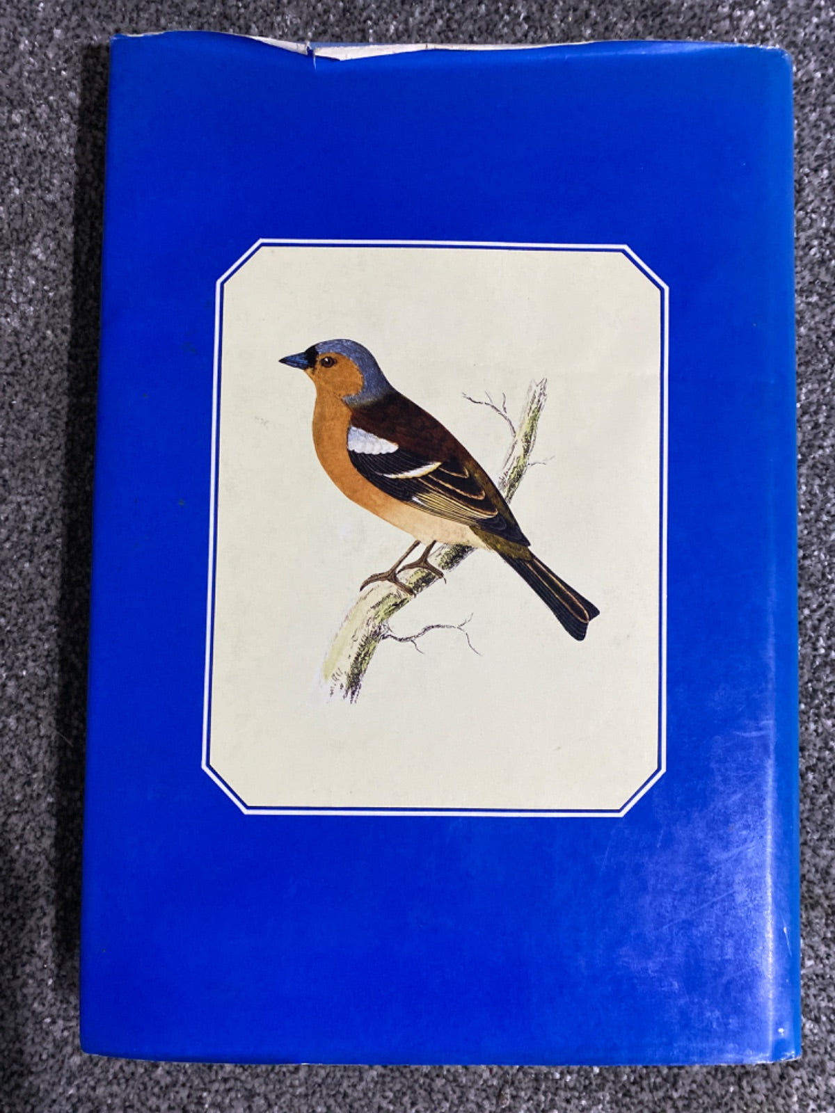 British birds - F. O. Morris
