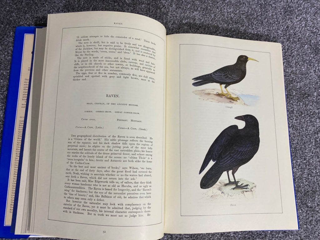 British birds - F. O. Morris