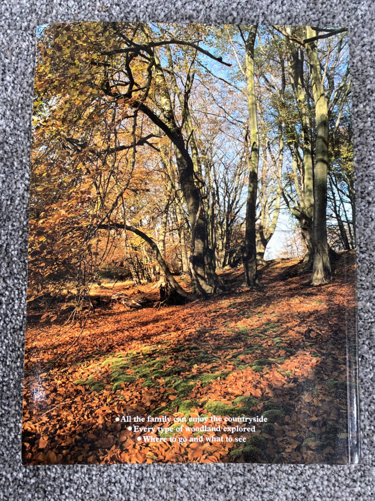 Woodland Walks (Discovering the Countryside With David Bellamy) - David Bellamy