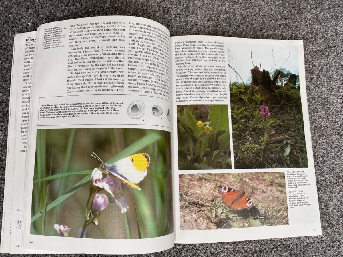 Woodland Walks (Discovering the Countryside With David Bellamy) - David Bellamy