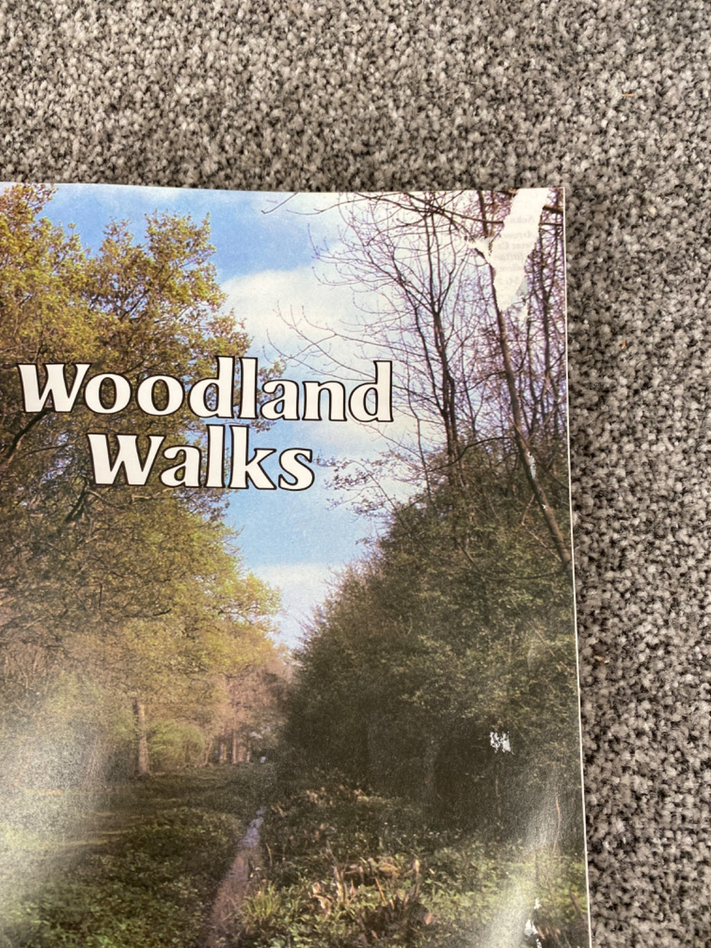 Woodland Walks (Discovering the Countryside With David Bellamy) - David Bellamy