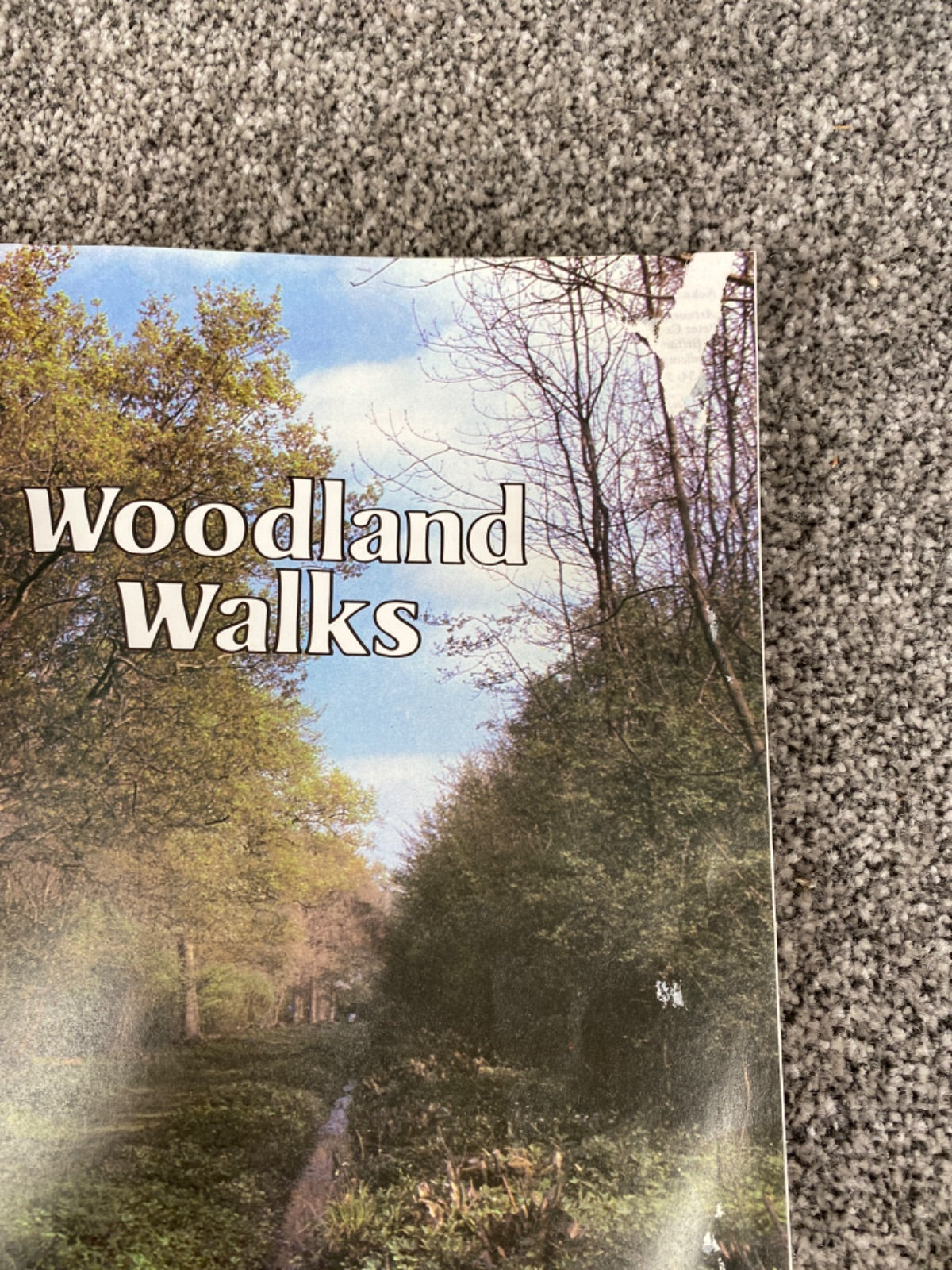 Woodland Walks (Discovering the Countryside With David Bellamy) - David Bellamy