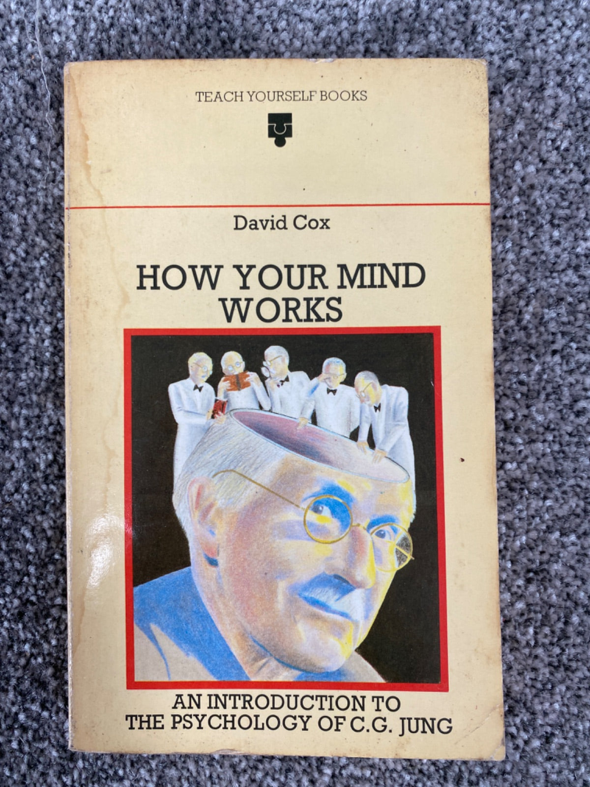 How your mind works: an introduction to the psychology of C. G. Jung - Cox, David