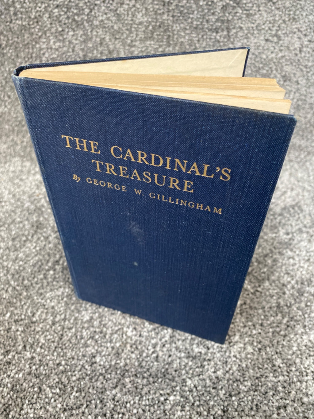 The Cardinal's Treasure - George W. Gillingham