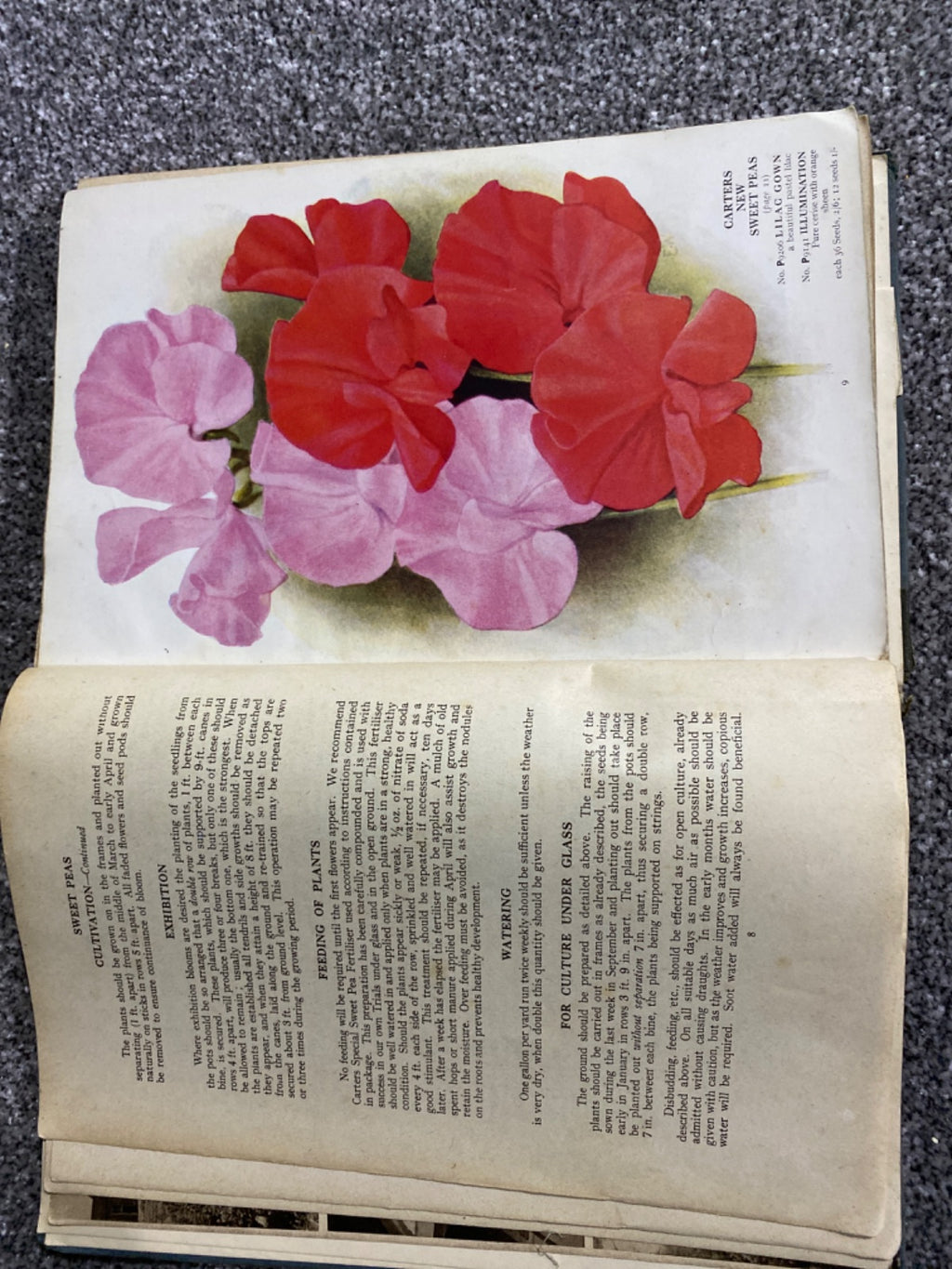 The Blue Book of Gardening