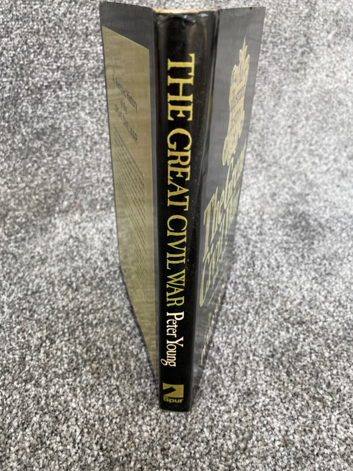 An illustrated history of the Great Civil War - Young, Peter