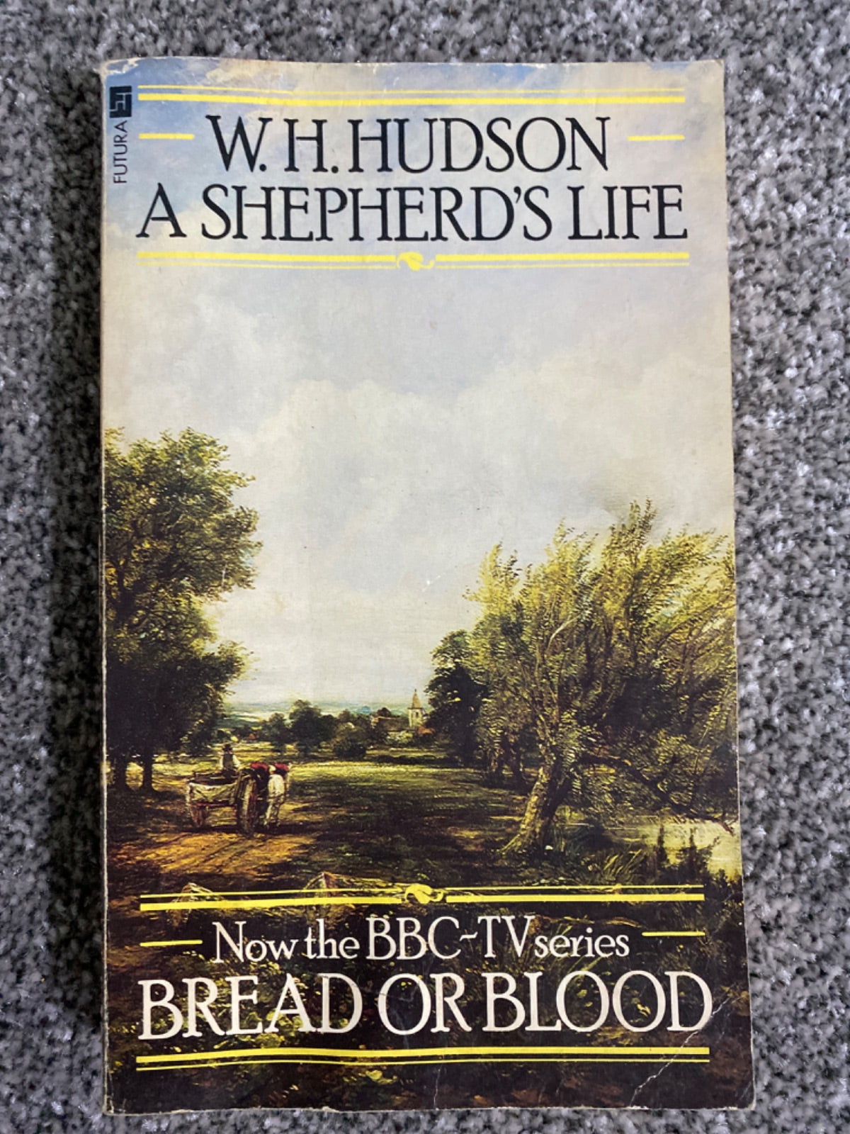 A shepherd's life - W. H. Hudson