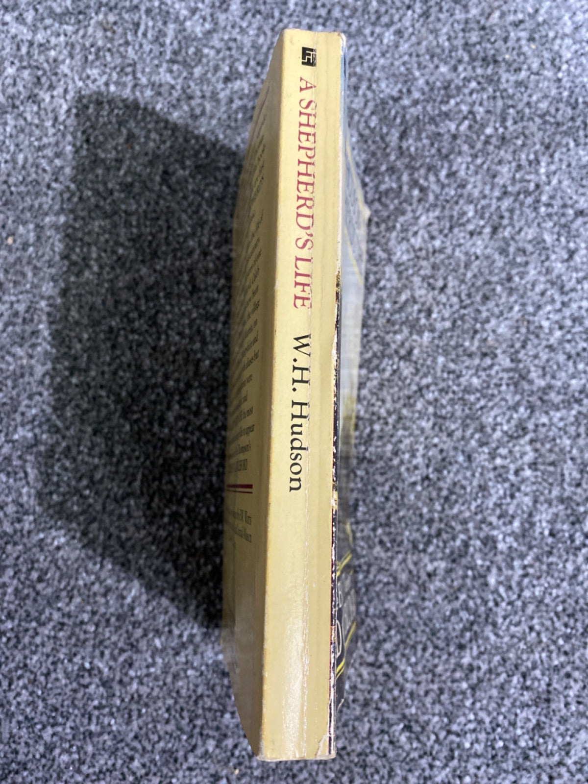 A shepherd's life - W. H. Hudson