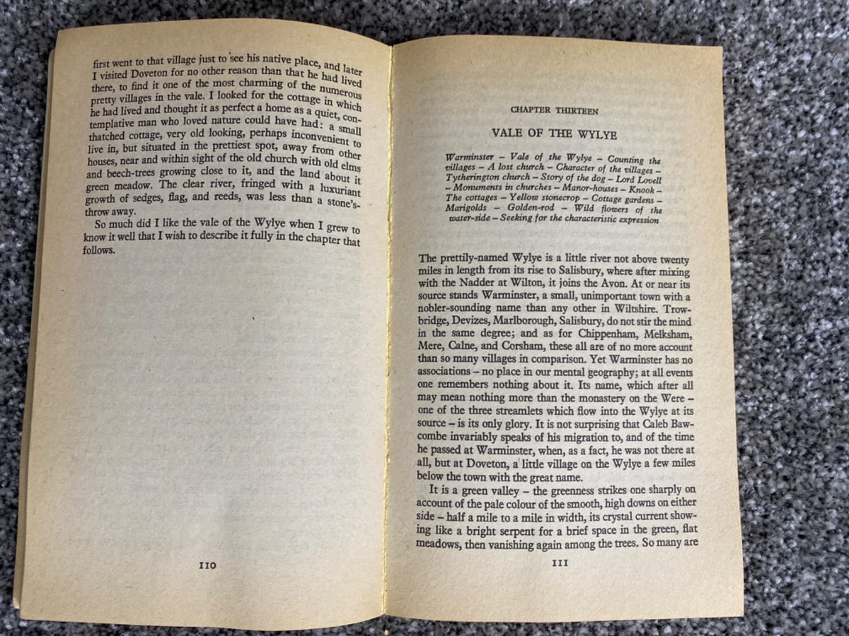 A shepherd's life - W. H. Hudson