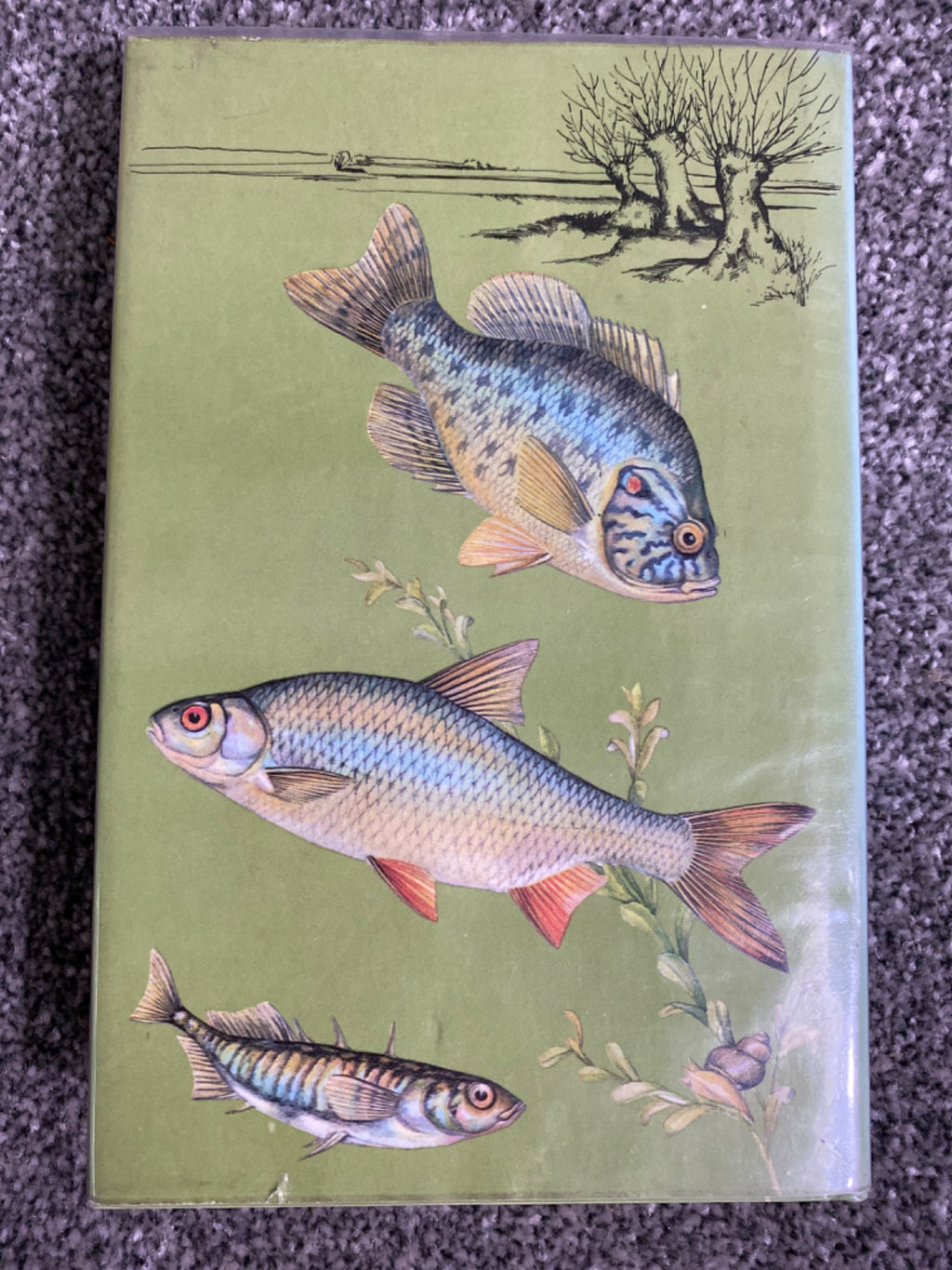 A COLOUR GUIDE TO FAMILIAR FRESHWATER FISHES. - Jiri Cihar