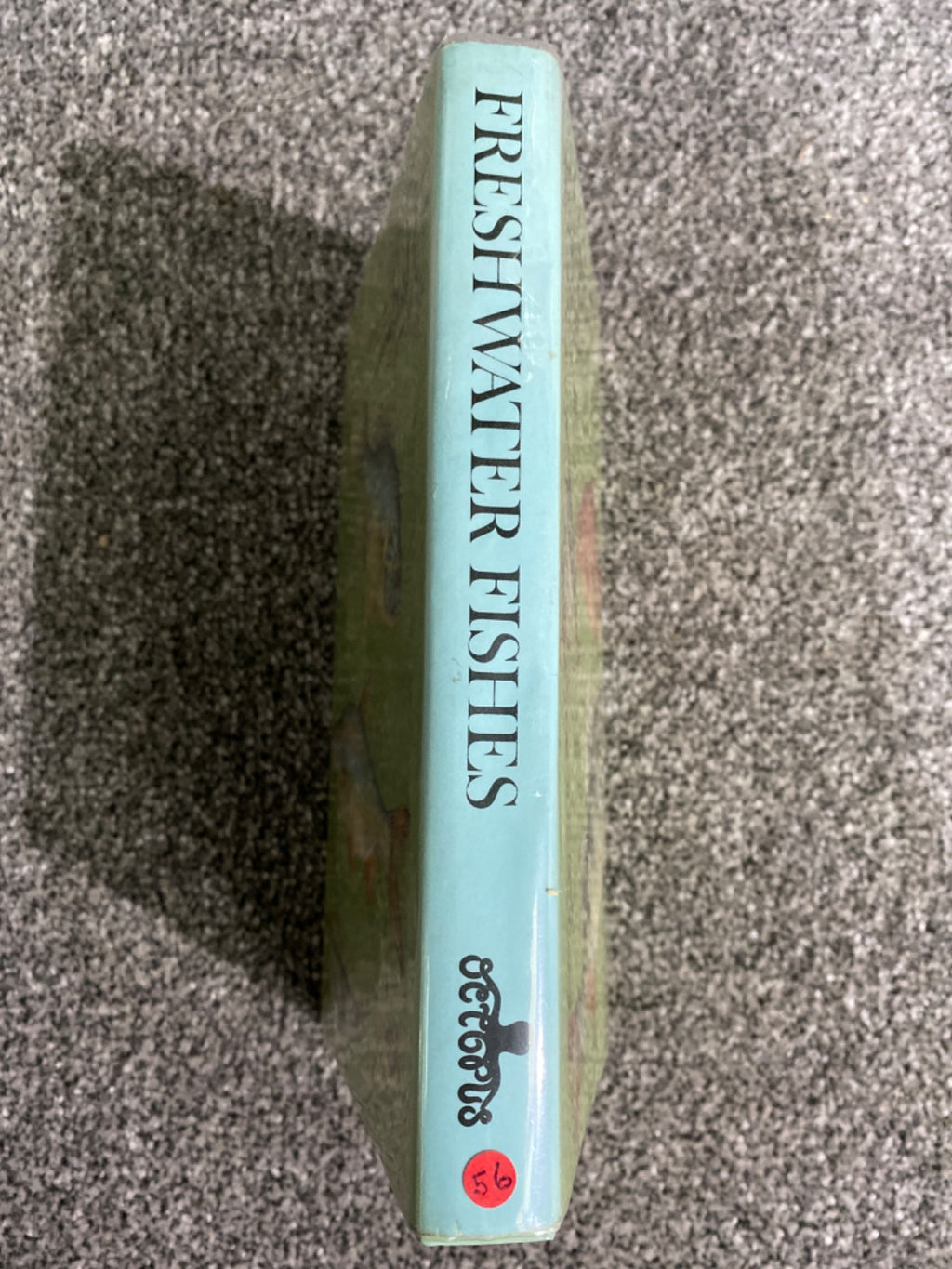A COLOUR GUIDE TO FAMILIAR FRESHWATER FISHES. - Jiri Cihar