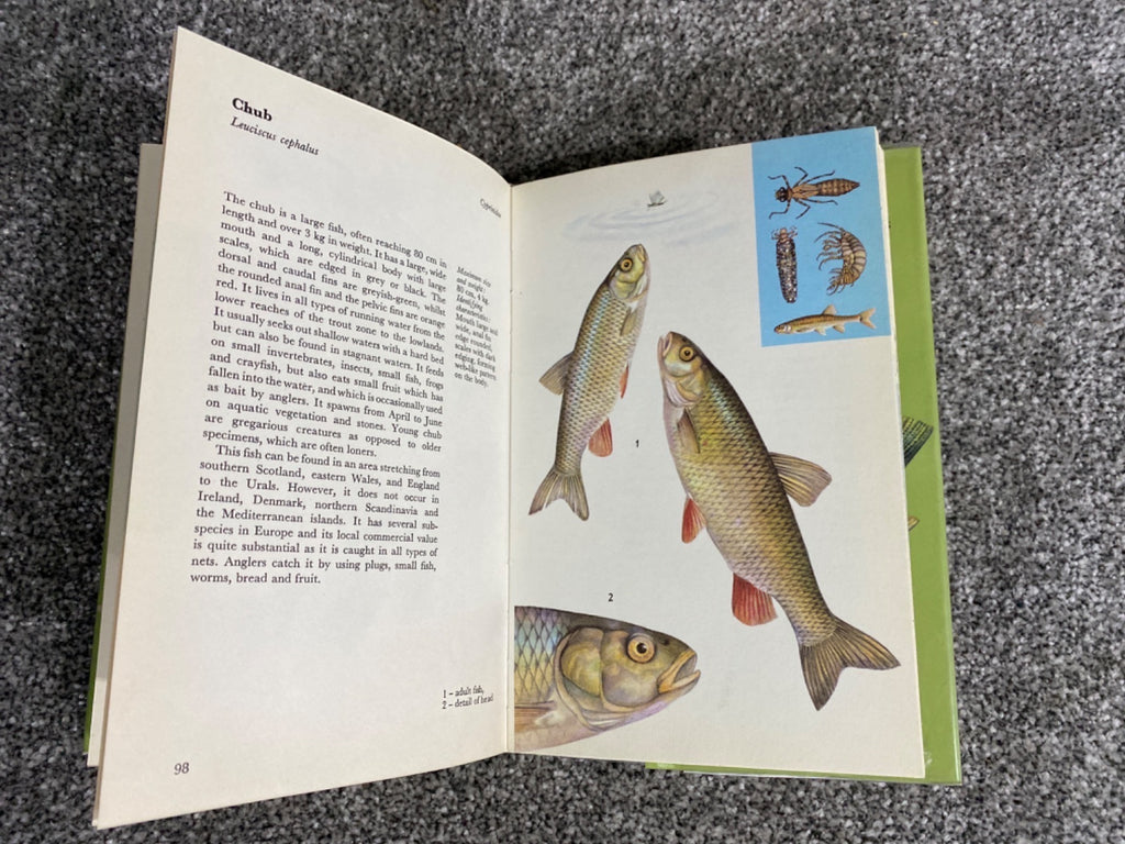 A COLOUR GUIDE TO FAMILIAR FRESHWATER FISHES. - Jiri Cihar
