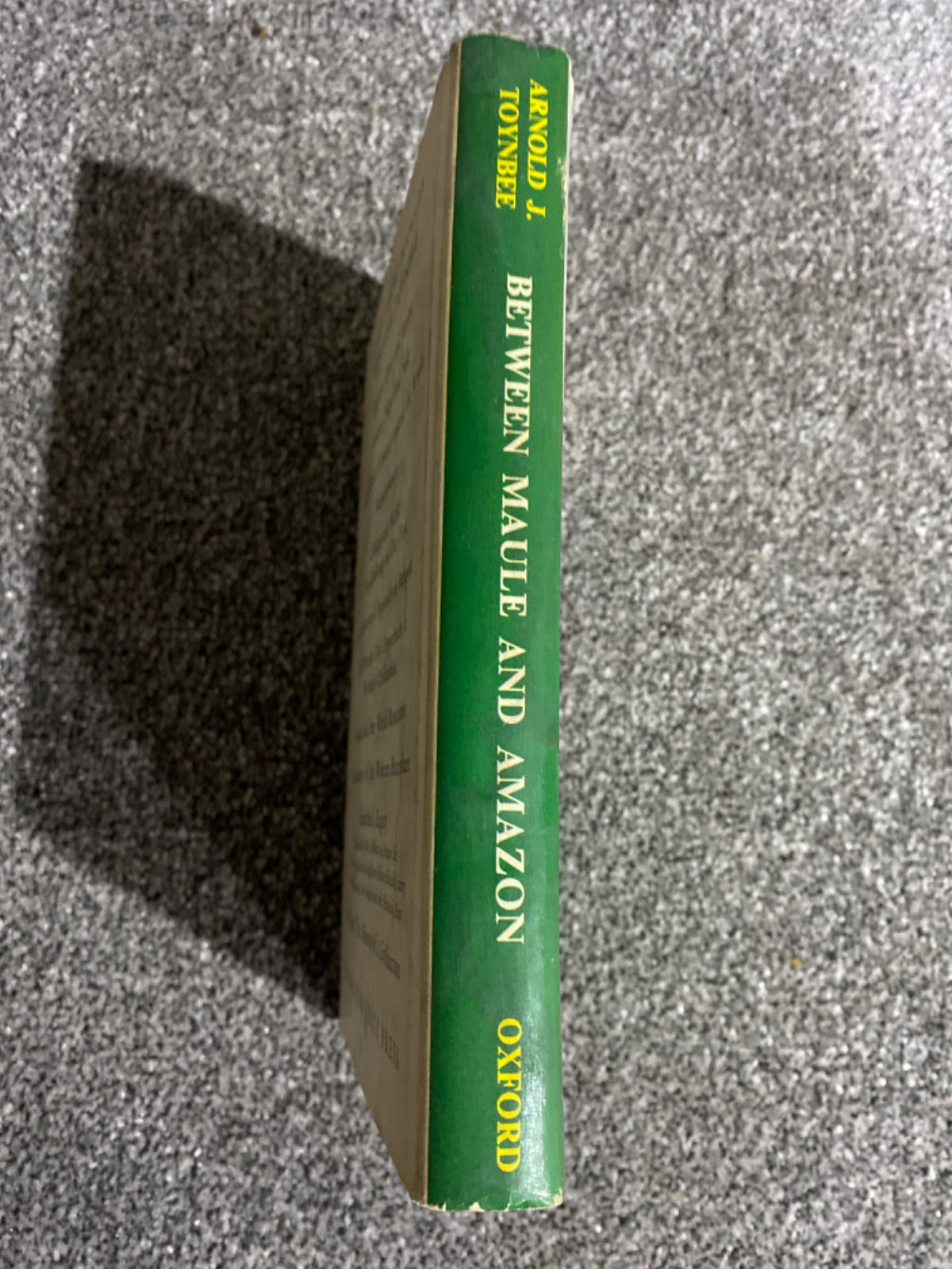 Between Maule and Amazon - Arnold J. Toynbee