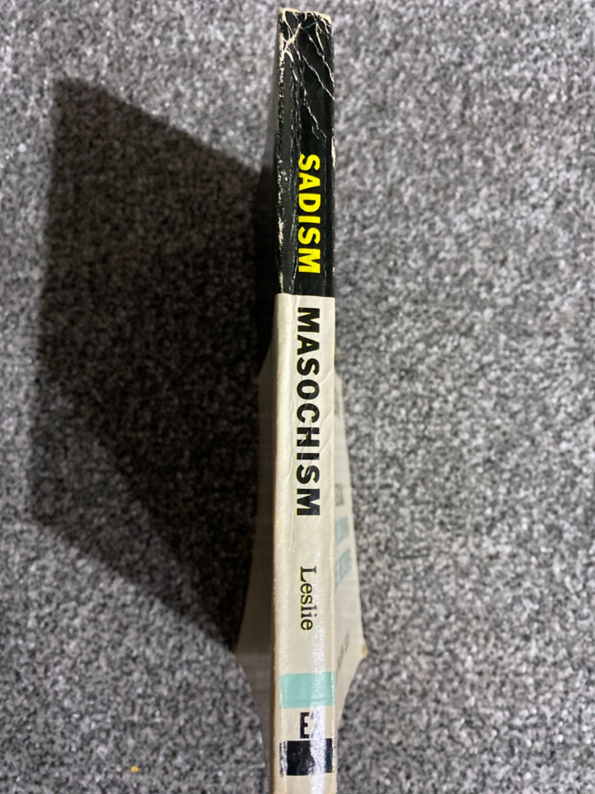 Sadism and Masochism - Bill Leslie