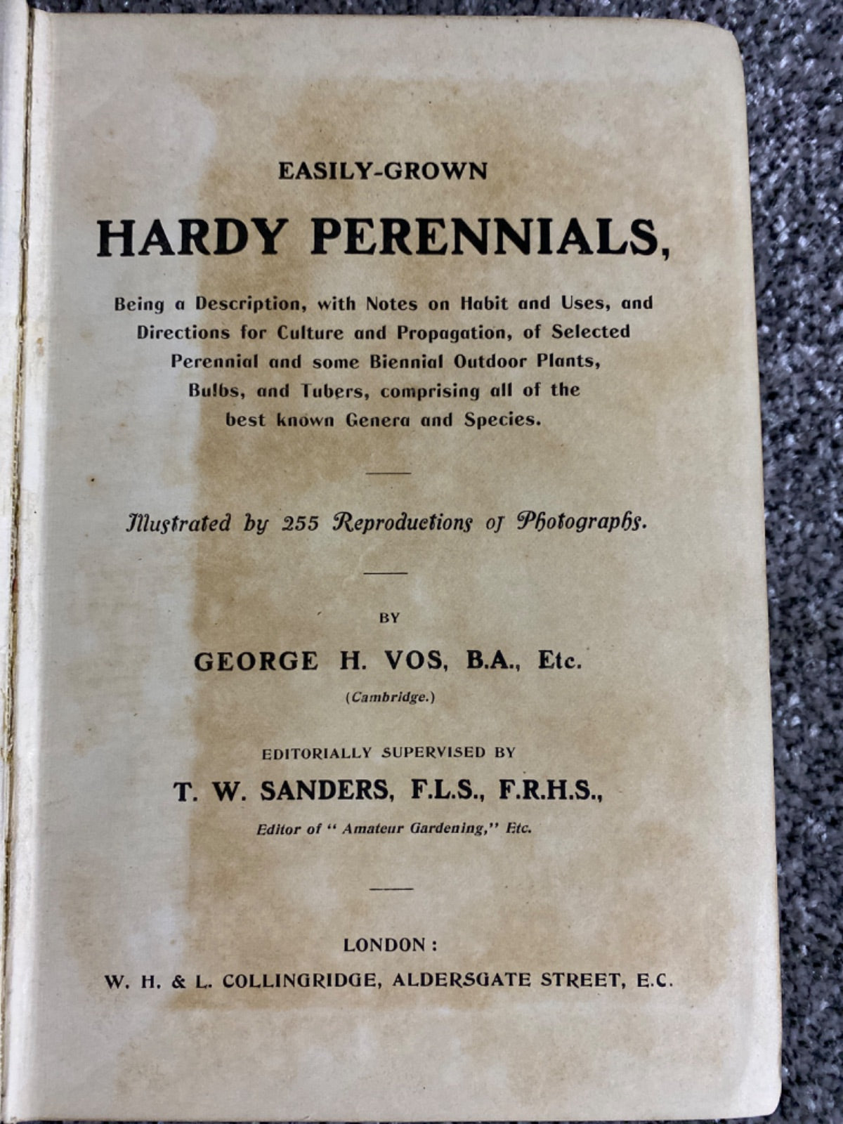 Easily Grown Hardy Perennials - George H. Vos