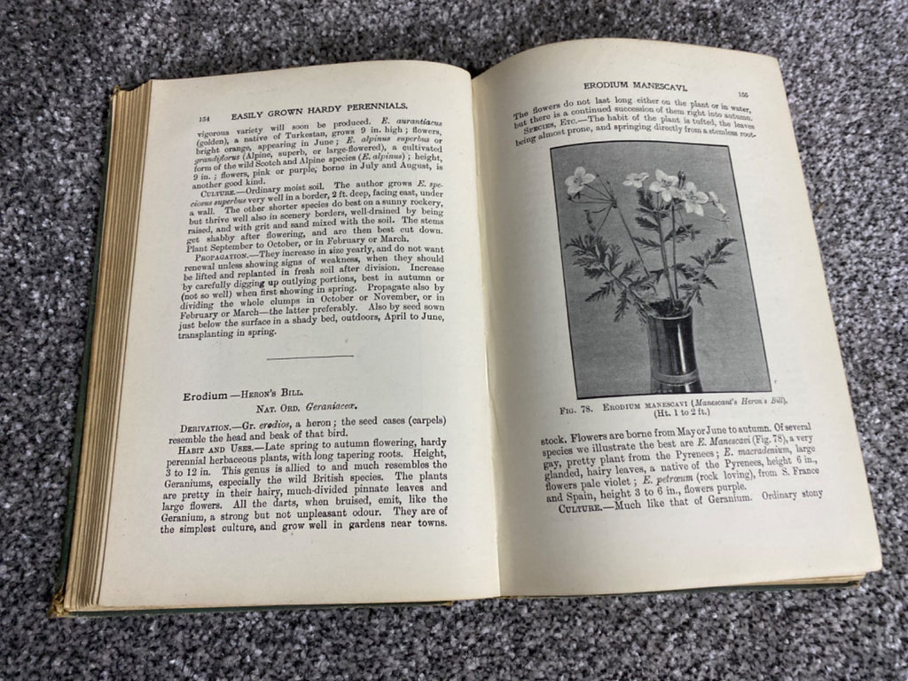 Easily Grown Hardy Perennials - George H. Vos